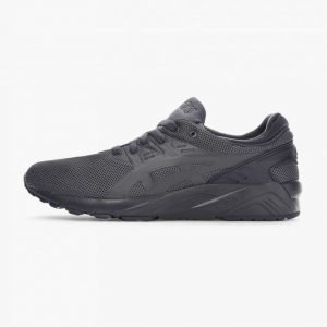 Asics Gel-Kayano Trainer Evo